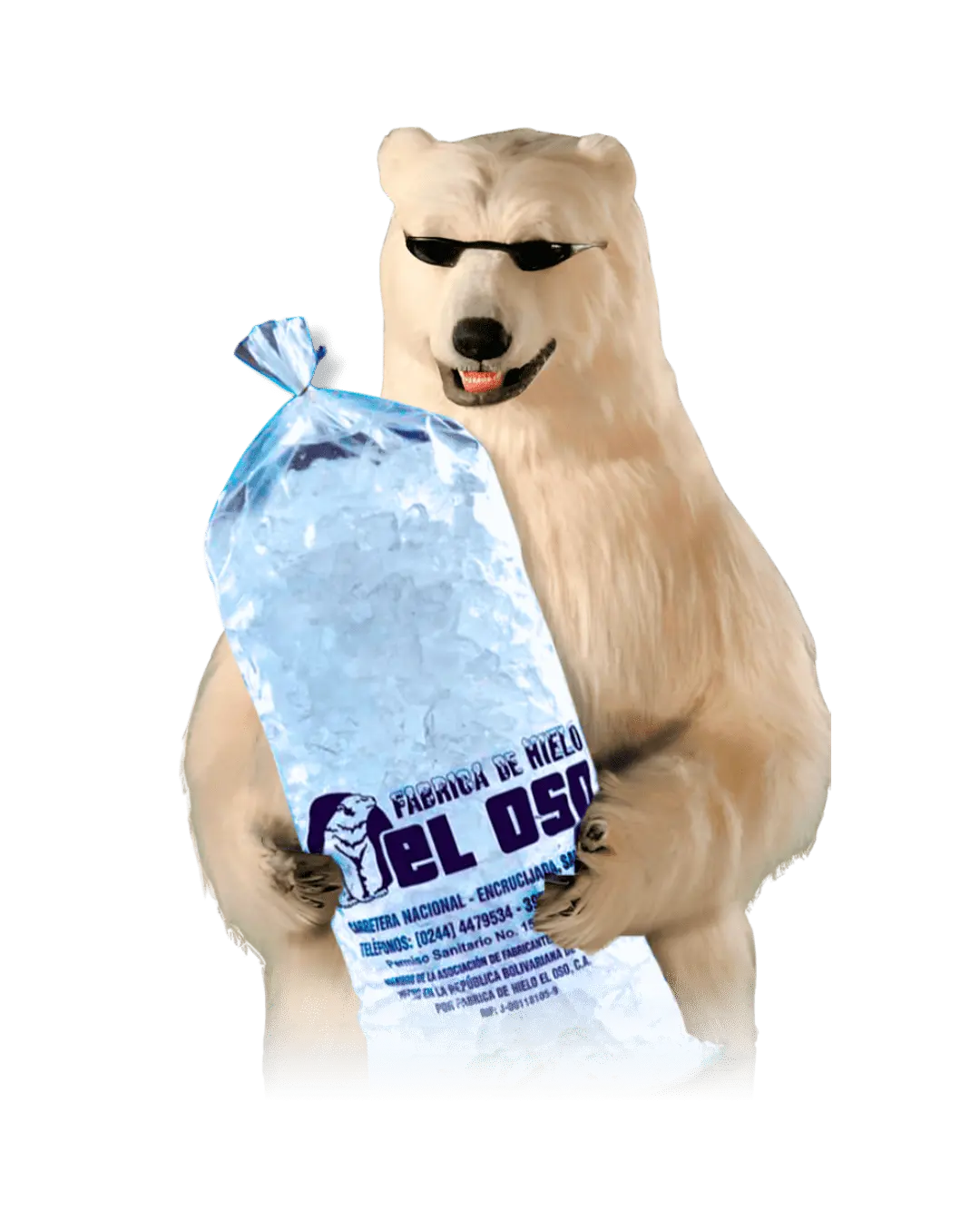 Oso polar con una bolsa de hielo